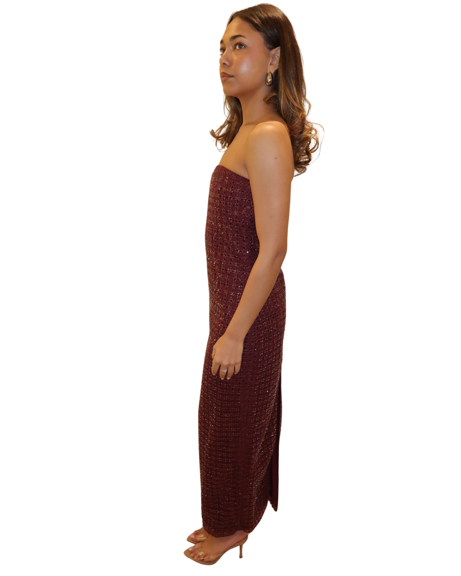 Beaded Maxi Tube Dress Zinfandel - Image 2