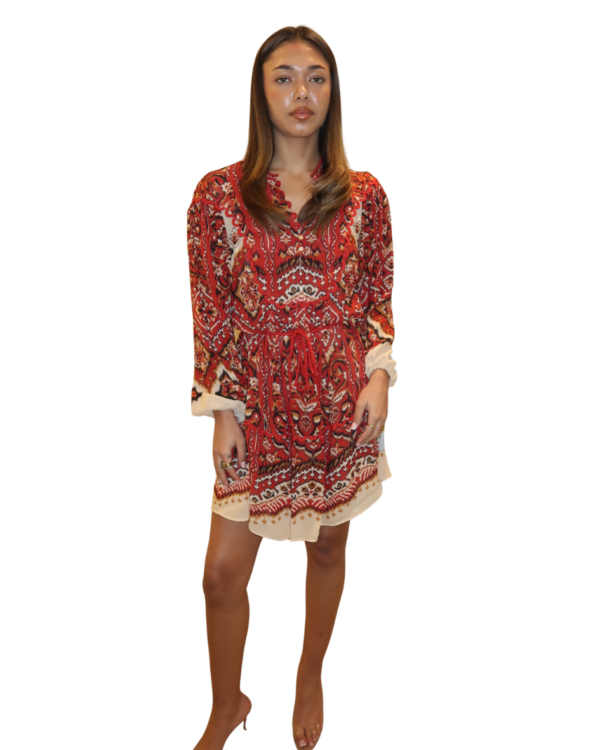 Ainika Pineapple Tapestry L/S Mini Dress Anika Pineapple Sand