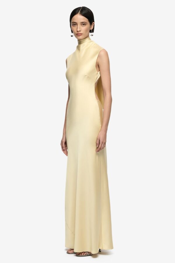 Elias Maxi Dress - Image 7
