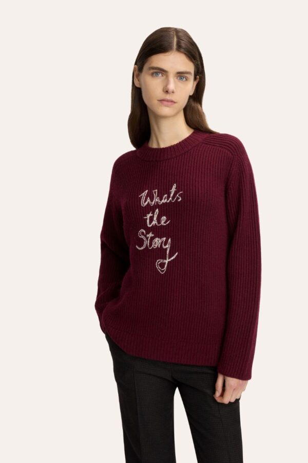 What's The Story Jumper