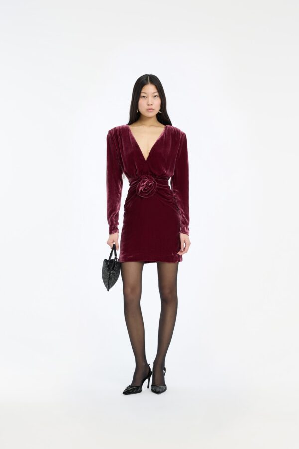 Silk Velvet Mini Dress